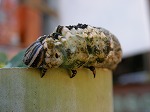 DSCN1124_1587.jpg