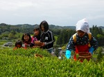 DSCN4960_6263.jpg
